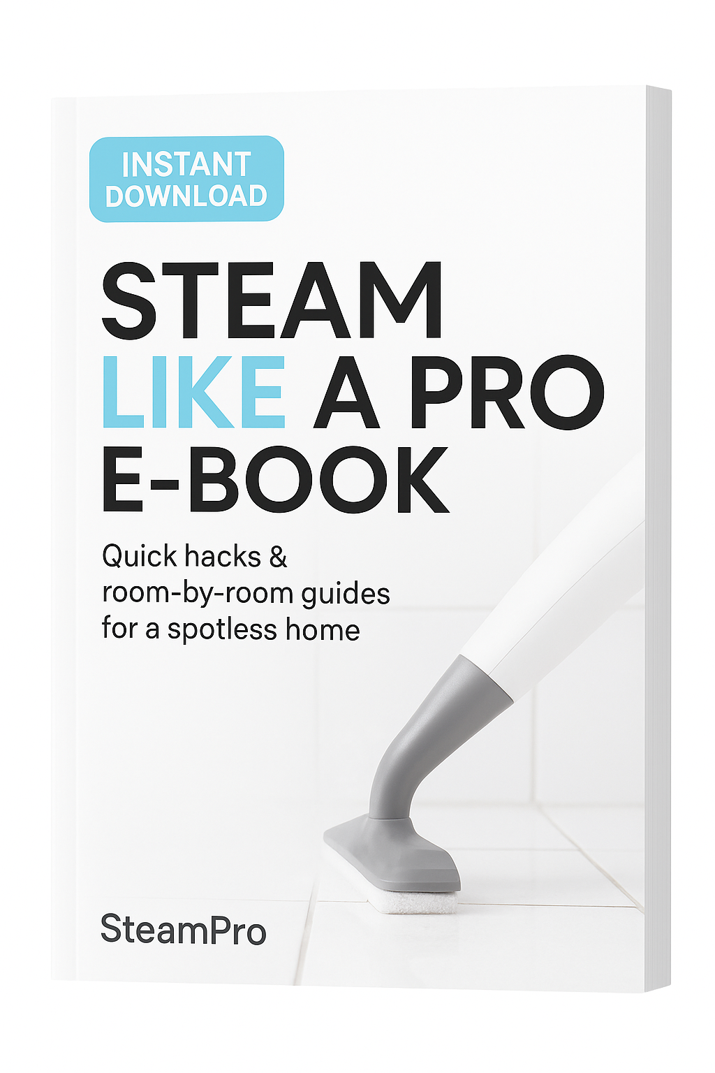 "Steam Like a Pro" E-Book